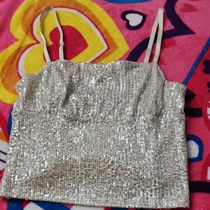No Boundaries Silver Sequin Crop Camisole